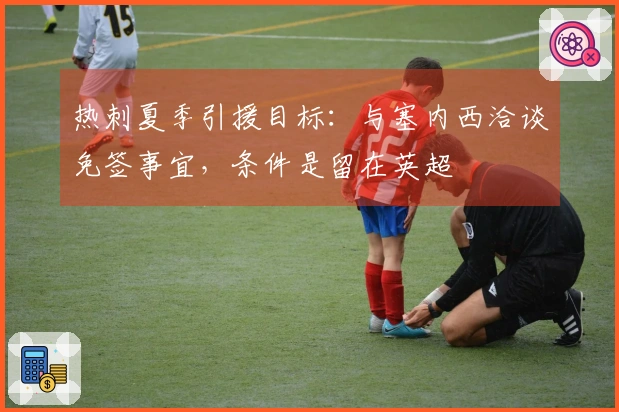 热刺夏季引援目标：与塞内西洽谈免签事宜，条件是留在英超