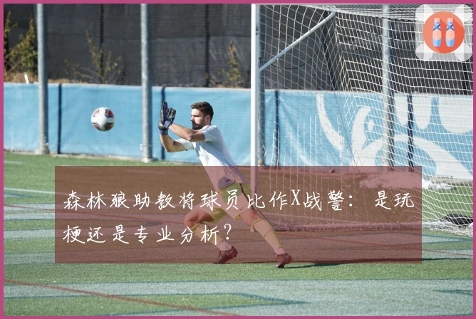 森林狼助教将球员比作X战警：是玩梗还是专业分析？